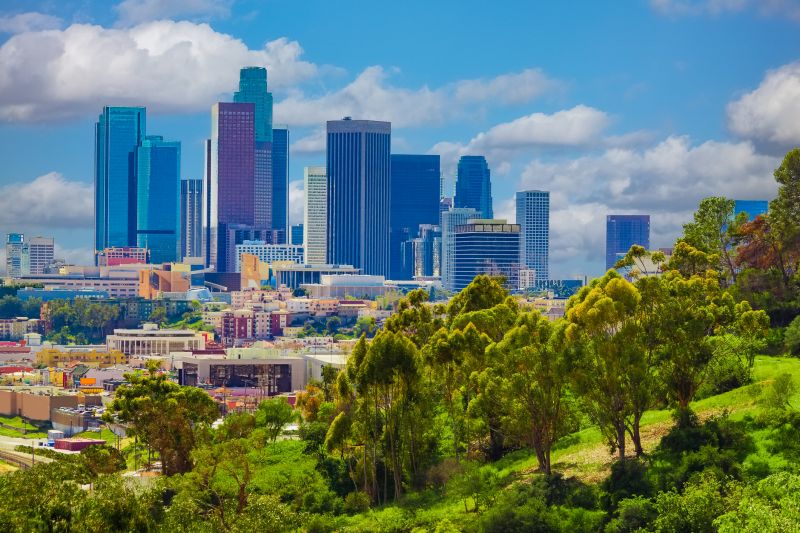 Fall Lawn Cleanup Service in Los Angeles, CA