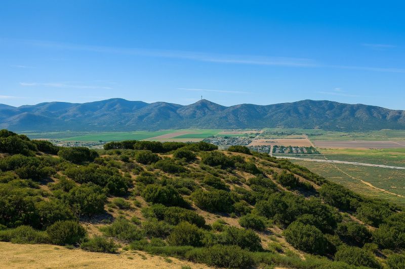 Fall Lawn Cleanup Service in Palmdale, CA