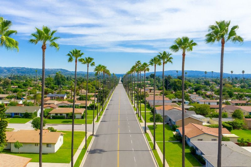 Leaf Removal in West Covina, CA