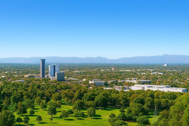 Leaf Removal in Burbank, CA