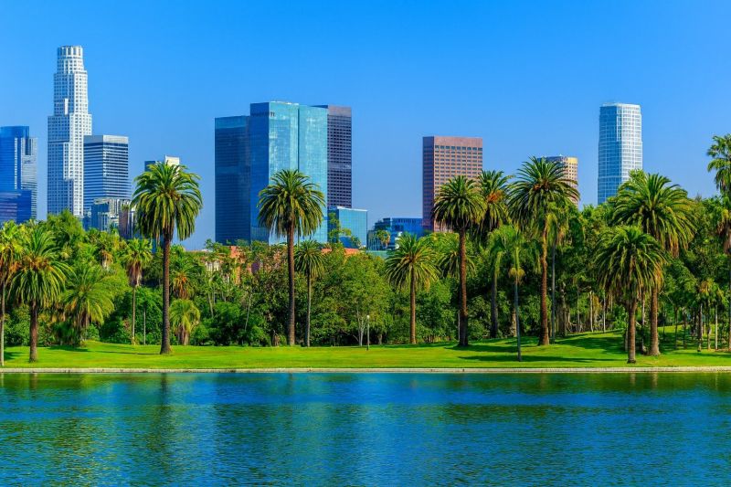 Leaf Removal in North Hollywood, CA