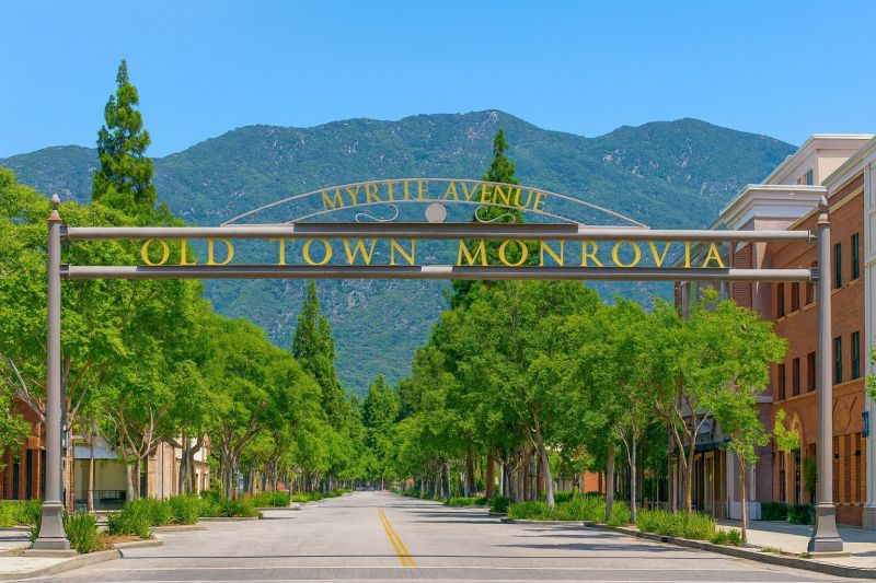 Leaf Removal in Monrovia, CA