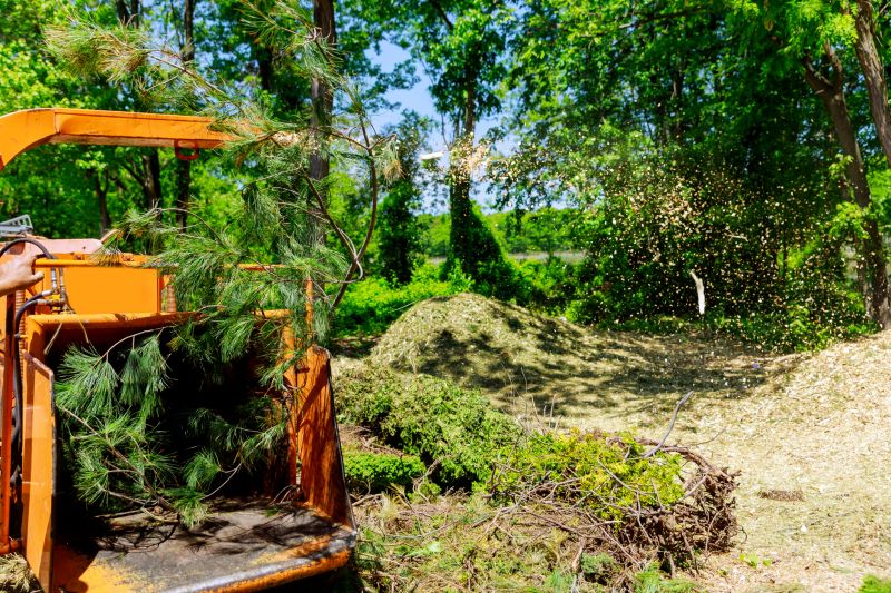 Cost of Tree Limb Chipping