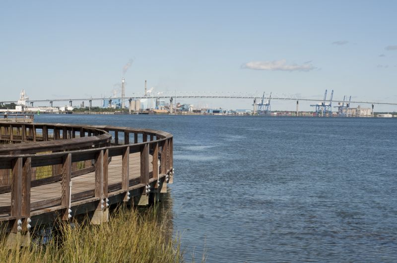 Yard Cleanup Service in North Charleston, SC