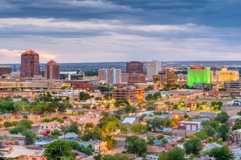 Yard Cleanup Service in Albuquerque, NM