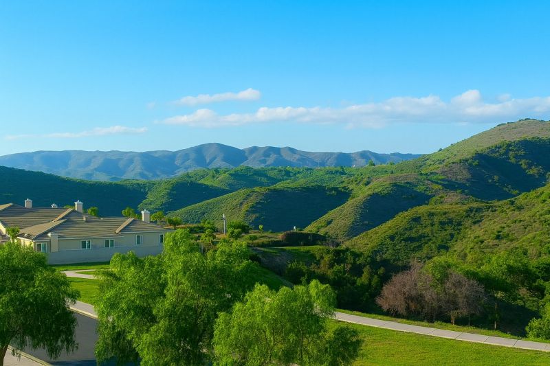 Yard Cleanup Service in Newbury Park, CA