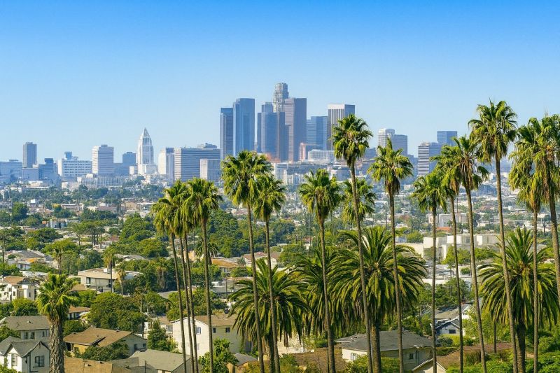 Yard Cleanup Service in Sherman Oaks, CA
