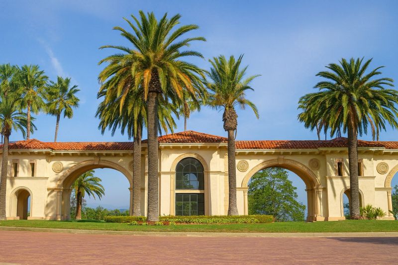 Yard Cleanup Service in Tarzana, CA