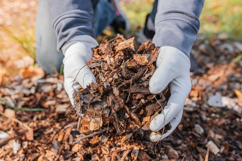 Cypress Mulch Installation in Ventura County, CA