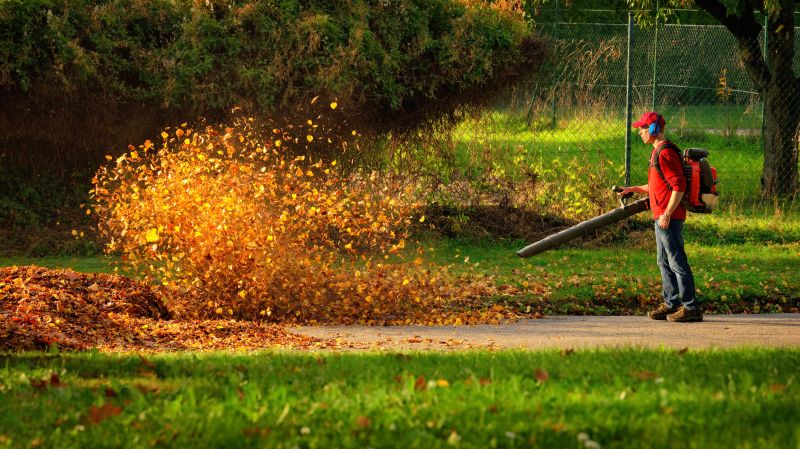 Fall Lawn Cleanup Service