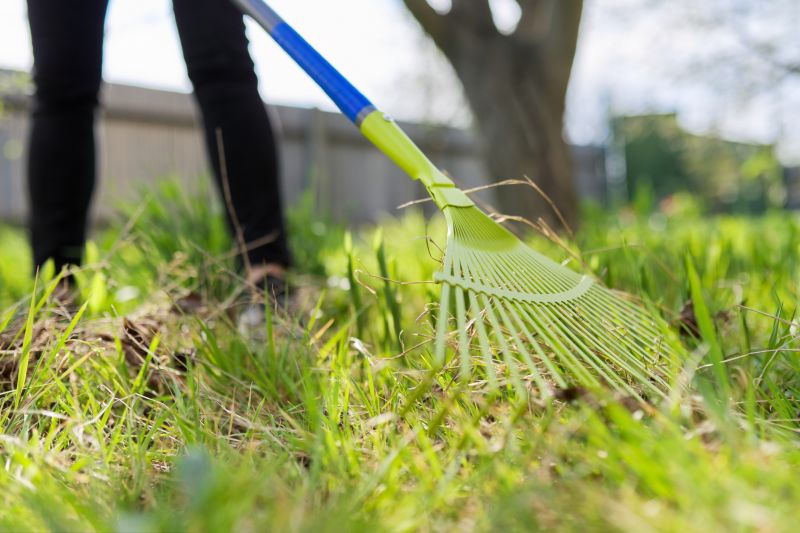 Leaf Raking Service