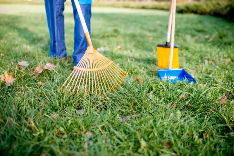 Leaf Raking Service