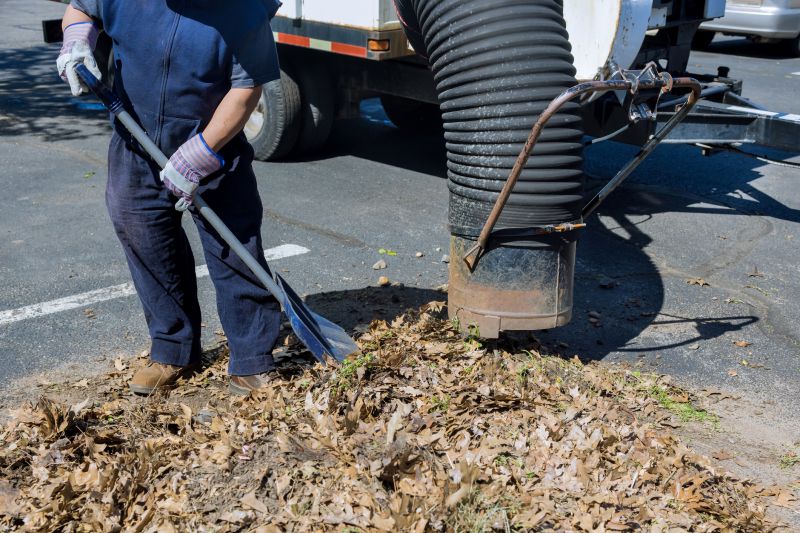 Leaf Raking Service