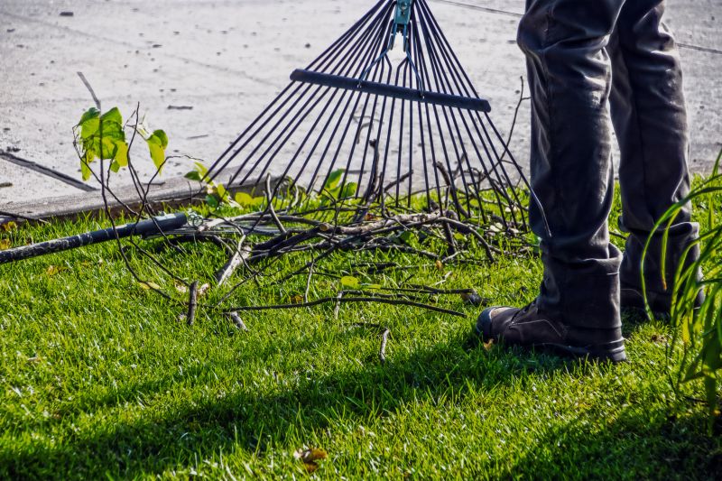 Leaf Raking Service