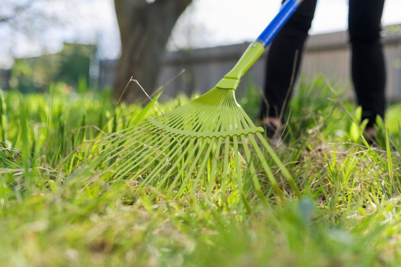 Leaf Raking Service