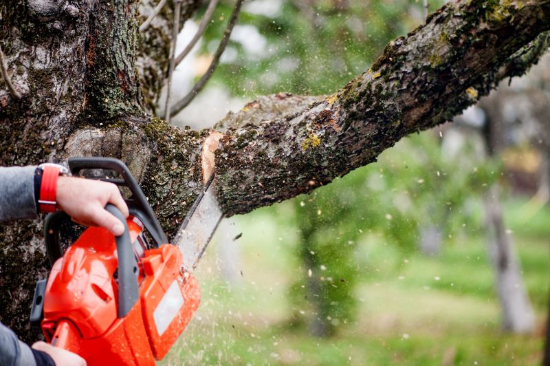 Leaf Removal