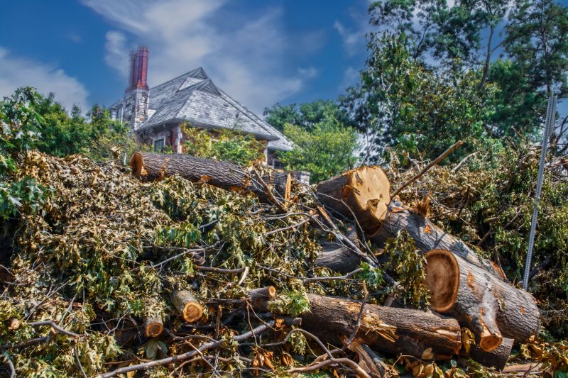 Leaf Removal