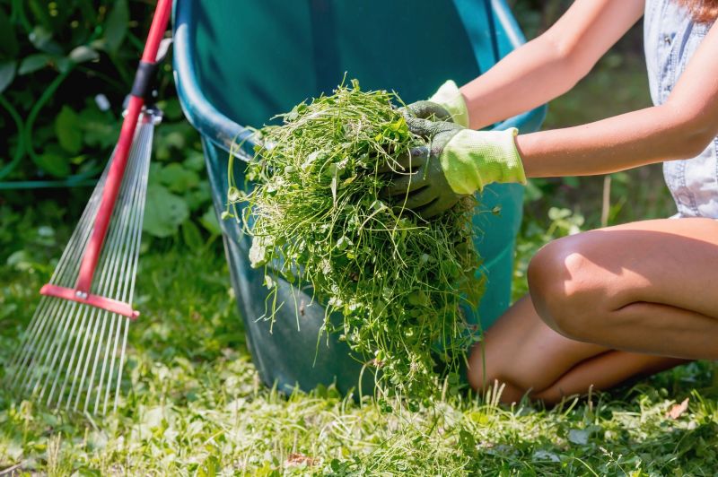 Yard Cleanup Service