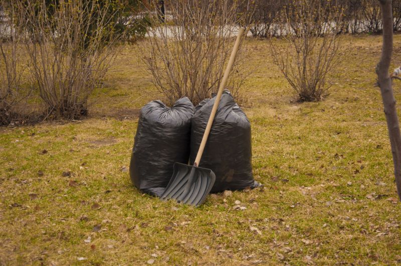 Yard Cleanup Service