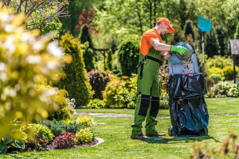 Yard Cleanup Service