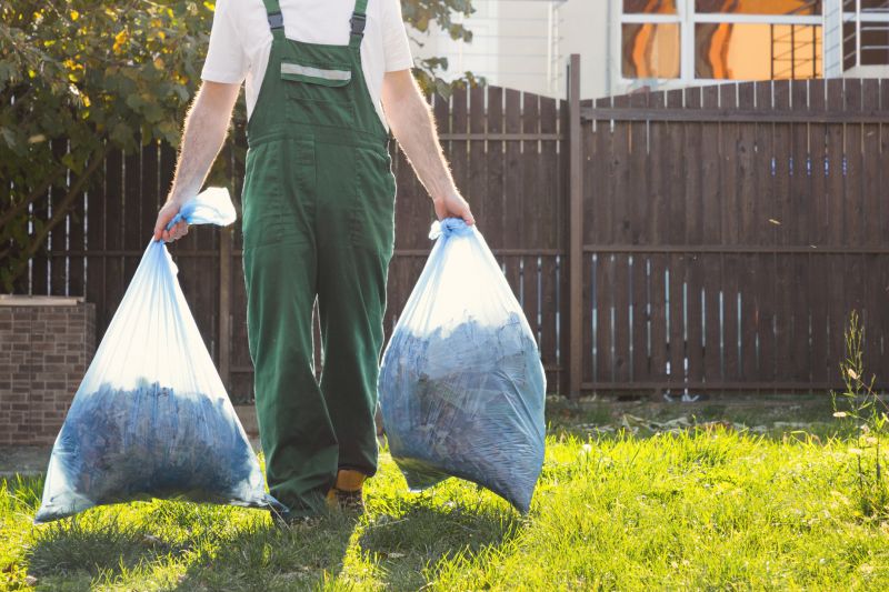 Yard Cleanup Service