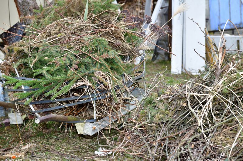 Yard Cleanup Service
