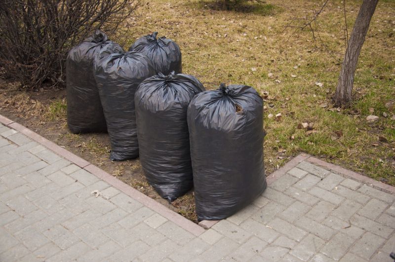 Yard Cleanup Service