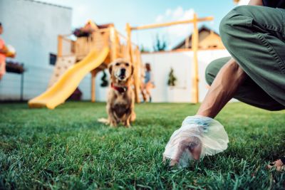 Yard Cleanup Service