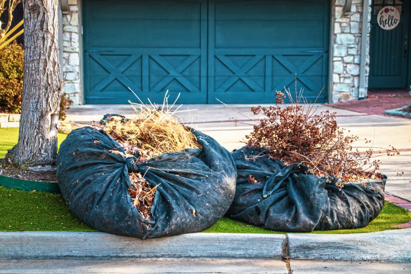 Yard Cleanup Service